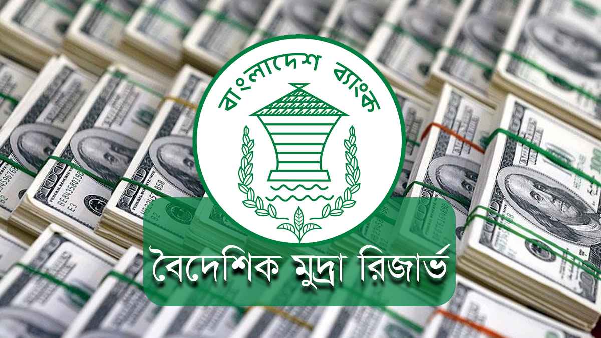 রিজার্ভ বেড়ে ৩১ বিলিয়ন