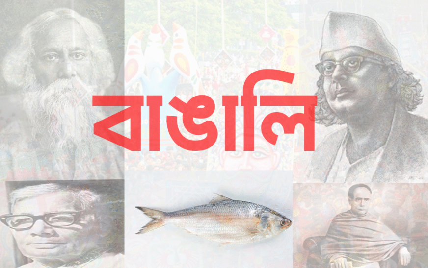 বাংলা জাতিসত্তা: বাংলাদেশ ও পশ্চিমবঙ্গের বাঙালির গর্ব, সংগ্রাম ও পরিচয়