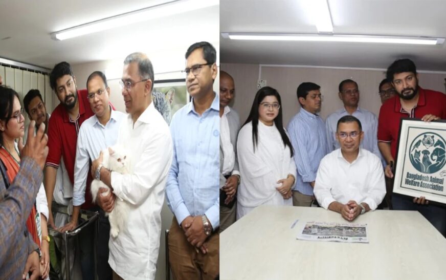 বনানীতে ‘ফ্রি অ্যানিমেল ক্লিনিক’ উদ্বোধন করলেন তারেক রহমান: মানবিক রাজনীতির নতুন বার্তা