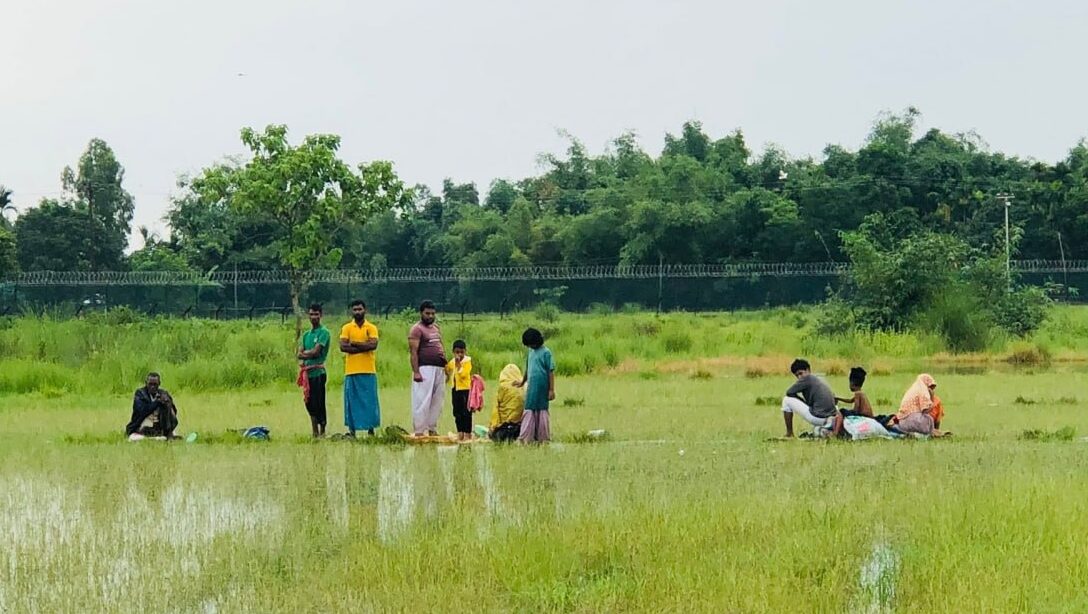 বিজিবির বাধায় পুশ-ইন ব্যর্থ: ১১ জনকে ফিরিয়ে নিল বিএসএফ